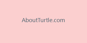 AboutTurtle.com