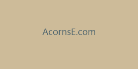 AcornsE.com