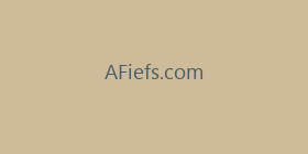 AFiefs.com