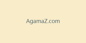 AgamaZ.com