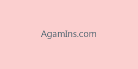 AgamIns.com