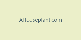 AHouseplant.com