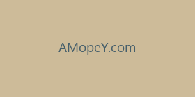 AMopeY.com
