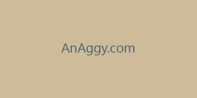 AnAggy.com