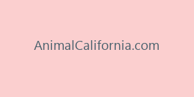 AnimalCalifornia.com