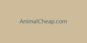 AnimalCheap.com