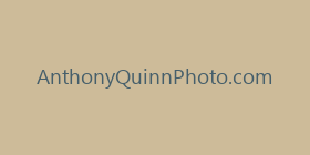 AnthonyQuinnPhoto.com