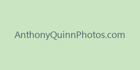 AnthonyQuinnPhotos.com
