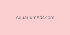 AquariumAds.com