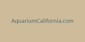 AquariumCalifornia.com