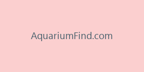 AquariumFind.com