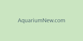 AquariumNew.com