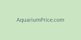 AquariumPrice.com