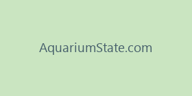 AquariumState.com