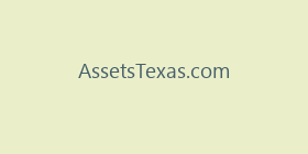AssetsTexas.com