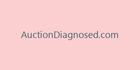 AuctionDiagnosed.com