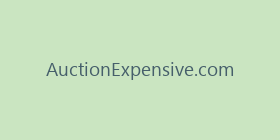 AuctionExpensive.com