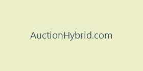 AuctionHybrid.com