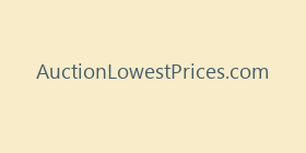AuctionLowestPrices.com