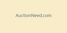 AuctionNeed.com