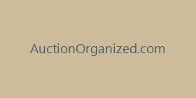 AuctionOrganized.com