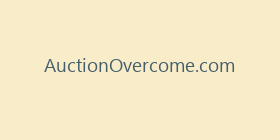 AuctionOvercome.com