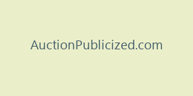 AuctionPublicized.com