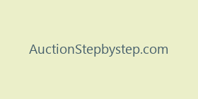 AuctionStepbystep.com