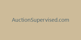 AuctionSupervised.com