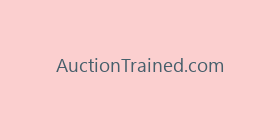 AuctionTrained.com