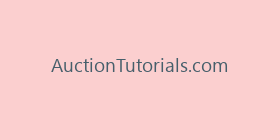 AuctionTutorials.com