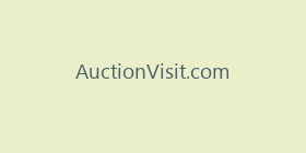 AuctionVisit.com
