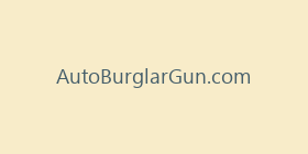 AutoBurglarGun.com