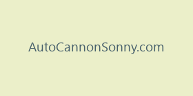 AutoCannonSonny.com