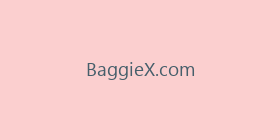 BaggieX.com