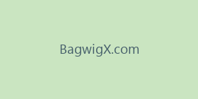 BagwigX.com
