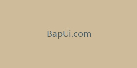 BapUi.com