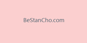 BeStanCho.com