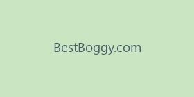BestBoggy.com