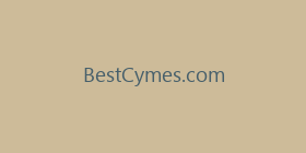 BestCymes.com