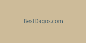 BestDagos.com