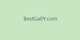 BestGallY.com