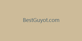 BestGuyot.com