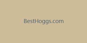 BestHoggs.com