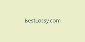BestLossy.com