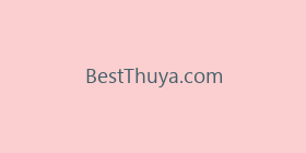 BestThuya.com