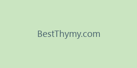 BestThymy.com