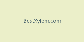 BestXylem.com