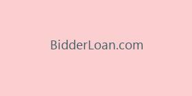 BidderLoan.com