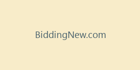 BiddingNew.com